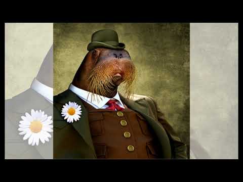 Androcell - Fib - full album (2021)