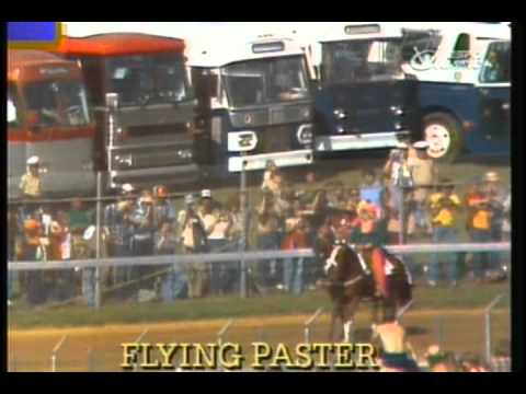 1979 Kentucky Derby - Spectacular Bid