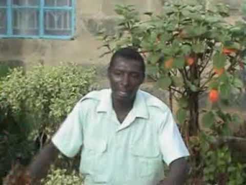 Mutindu by Joseph Monicah the Mutindus