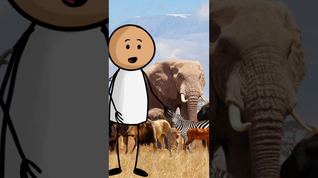 Animals can experience time differently from humans