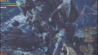 【MHWs】歴戦王アルシュベルドが実装されてから4ヶ月後に初見プレイをする男のランス 【MHWilds】