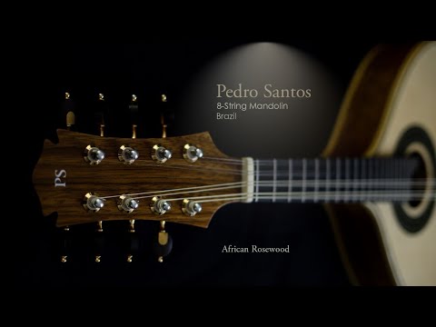 Pedro Santos 8-String Mandolin | Brazil image 9