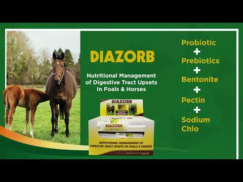 Diazorb Syringe 