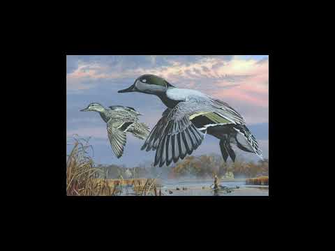 Creating the Federal Duck Stamp Painting