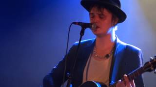 peter doherty - down for the outing (live)