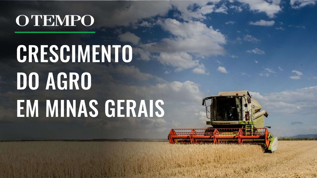 Exportações do agro em Minas somam US$ 17,1 bilhões em 2024, melhor resultado desde 1997