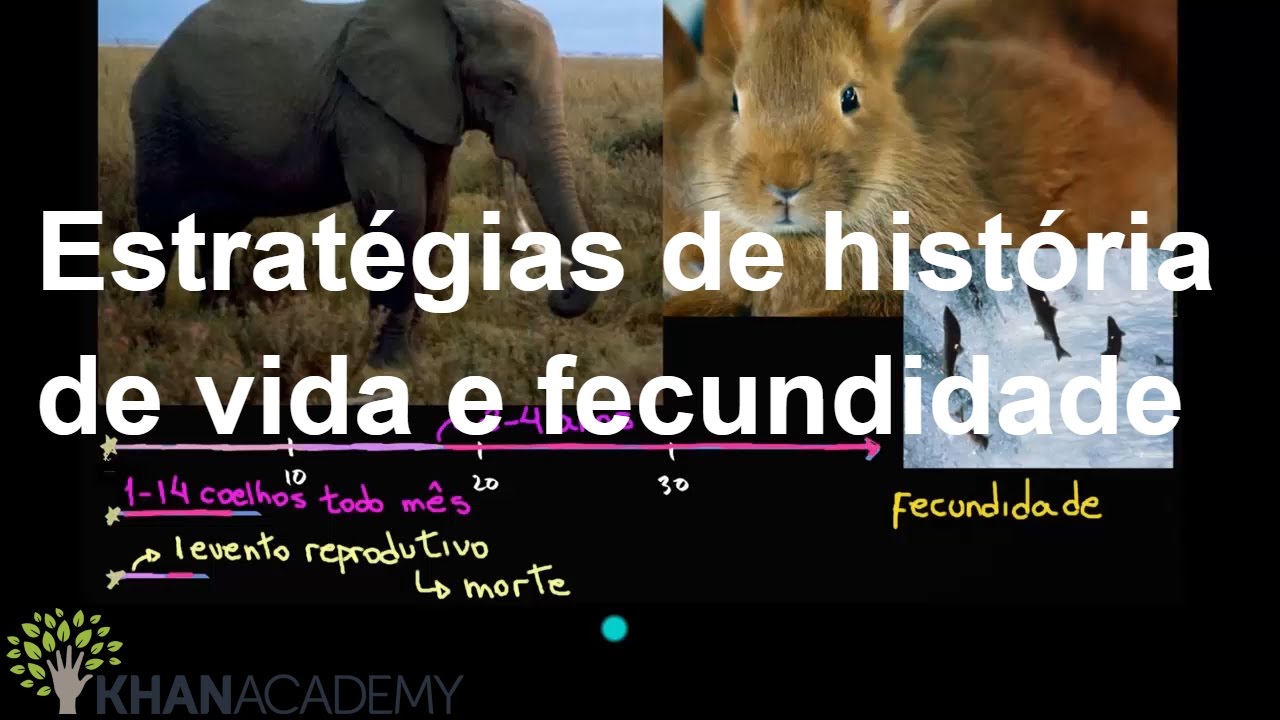 Estratégias de história de vida e fecundidade | Ecologia | Biologia | Khan Academy