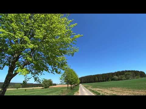 Radtour im Hochwald - Reinsfeld-Hermeskeil-Gusenburg-Reinsfeld🚵‍♀️