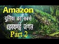 Amazon Jungle Ka Rahasya Hindi Mein Amazon Rainforest Forest Video Hindi
