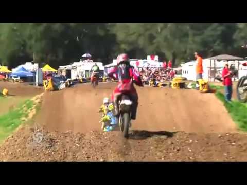 Mini Os Brock Papi Promo 2010