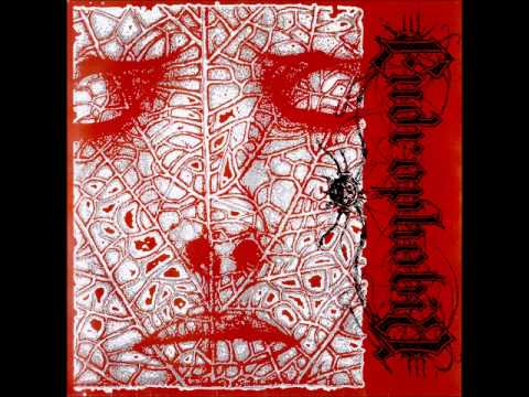 Endrophobia - A Reason To Go On.wmv