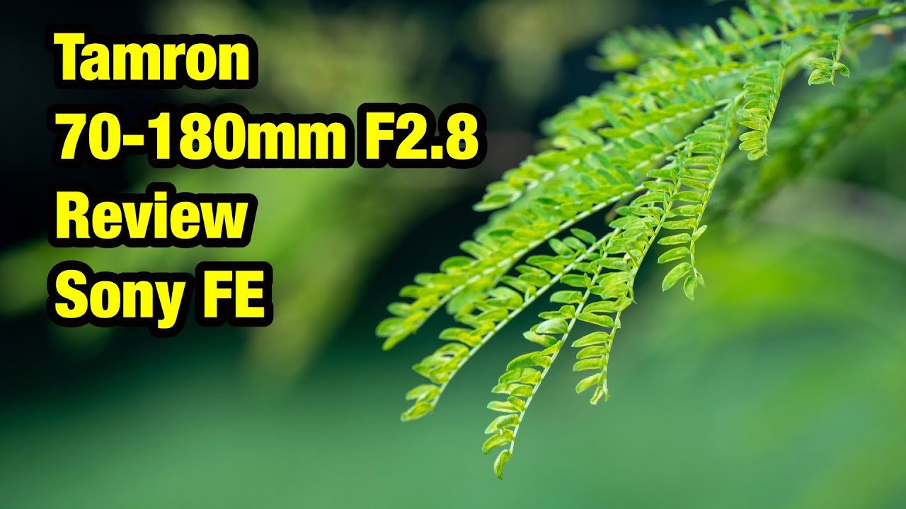 騰龍 Tamron 70-180mm F2.8 Di iii VXD Lens Review 評測 For Sony FE