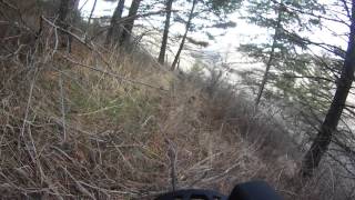 2015 blue mountains elk hunt
