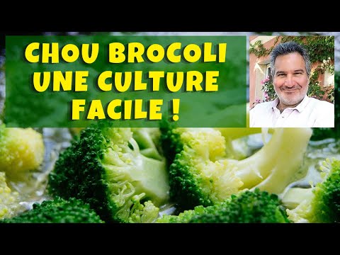 , title : 'Chou brocoli : un super-aliment au jardin potager ! 🥦🥦🥦'