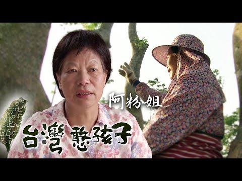 🌿 台灣憨孩子——老樹媽媽專訪（台視，2010）