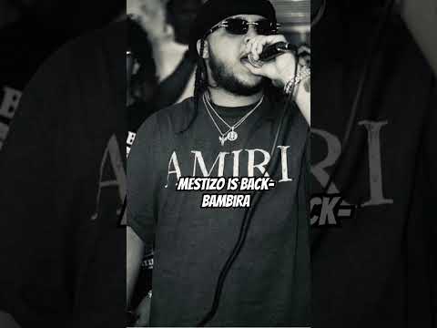 Mestizo is back- bambira #shorts