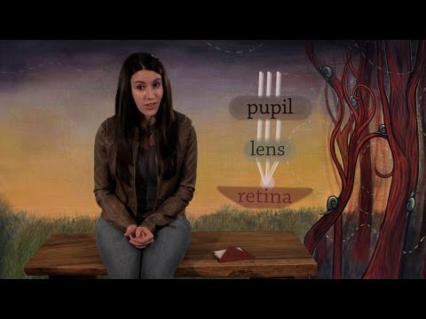 Science stories: why do people wear glasses? questions and answers for kids ages 8 and up