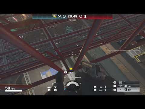 The Crane