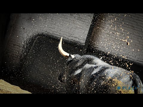 SORTEO | Corrida toros 14 mayo, José Escolar