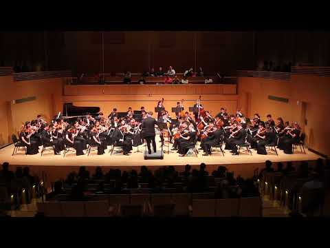 Quartet in D minor "Death and the Maiden" - Allegro - Franz Schubert arr. Gustav Mahler