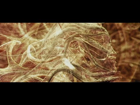 Jean Jacques Hertz & Francois Roy -  Feel the Universe