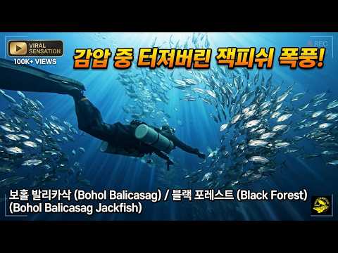 영상 미리보기