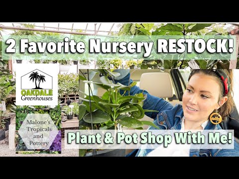 20% Off Pots! Favorite Nurseries Restock! Pot & Plant Shopping - Plant Haul - Charlotte, NC