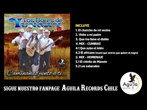 LOS FLORES DE YUNGAY - CAMINANDO JUNTO A TI