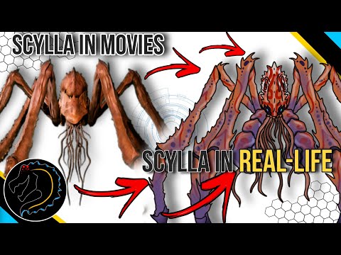 Creé "SCYLLA" usando ADN de criaturas reales | Del mito a la realidad