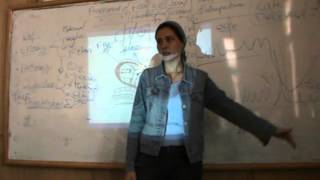 Obstetrics - Dr.Nadine Alaa Sherif - Assessment of Fetal Well Being (2)