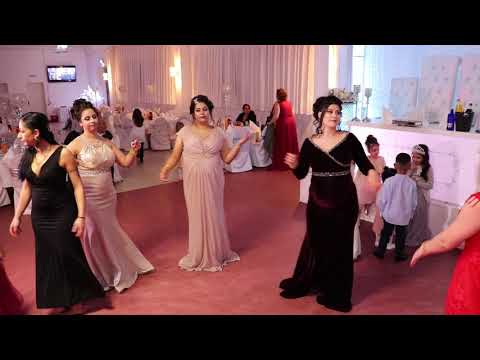 ASIM EMINE KINA NURNBERG No 8