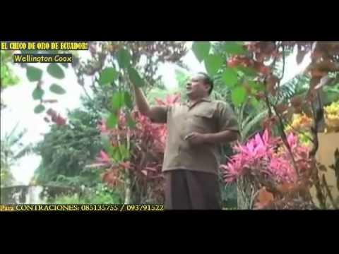 FLORES PARA MI REINA   PASILLO   WELLINGTON COOX