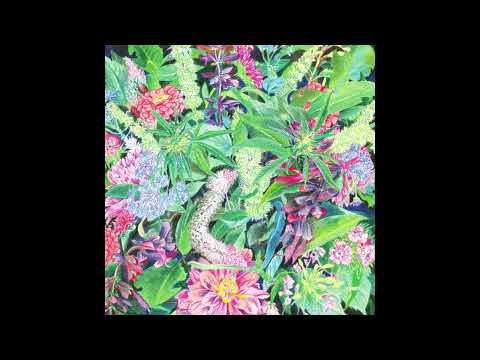 Light-Space Modulator, "These Things"