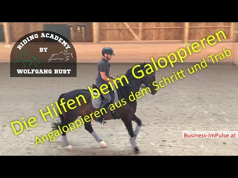 F46 Galopphilfe erklärt & gezeigt. Galoppieren lernen, Hilfen beim Reiten- Schritt, Trab, Galopp