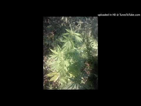 Ceuer - CZEKAM NA DZIEŃ(ŚMIECHU)