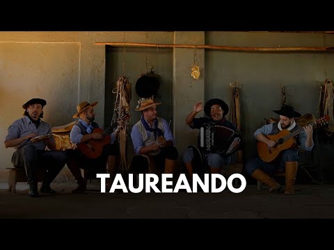 Taureando - Mauro Silva