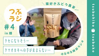 畑休憩中にゆるっと雑談ラジオ【つぶラジvol.4】