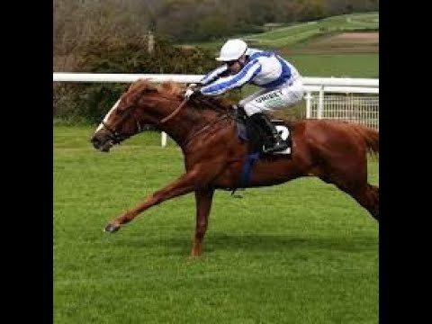 German 2000 Guineas Stakes (G2) 2024