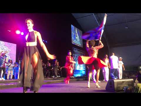 União da Ilha 2019: apresentação na festa do CD