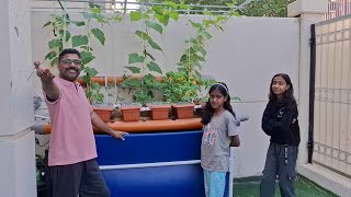 നമുക്കൊരു ചിലവ് കുറഞ്ഞ അക്വാപൊണിക് സിസ്റ്റം ഉണ്ടാക്കിയാലോ?