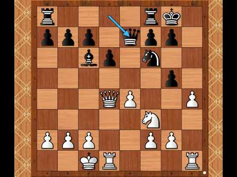 Nemoguća misija spasavanje Kralja ☆ ☆☆☆  ALEKHINE vs HOELSCHER # 2184