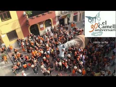 LIPDUB del Camell de Molins de Rei