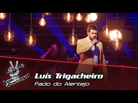 Luís Trigacheiro - "Fado do Alentejo" | Semi-Final | The Voice Portugal