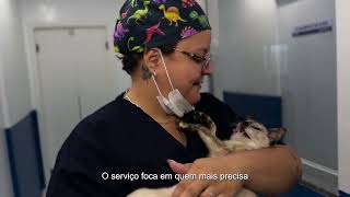 Hospital Veterinário Municipal Cão Orelha abre com atendimento 24 horas