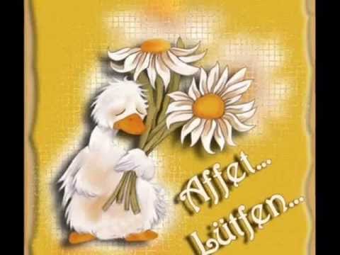 Fenomen - Patnoskolik Derbeder .. Kusuruma bakma - 2013