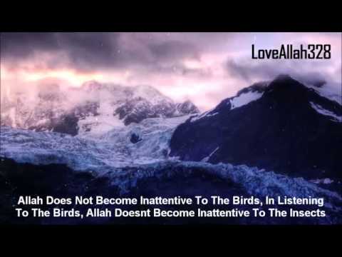 This Is The Al Mighty Allah   by Sheikh Suleiman Khatani HD