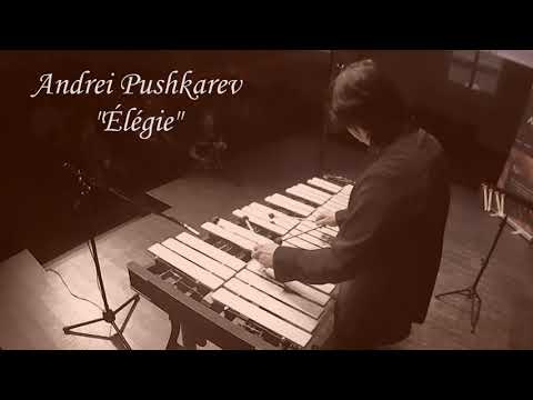 Andrei Pushkarev - "Élégie"