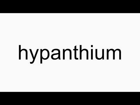 How to pronounce hypanthium