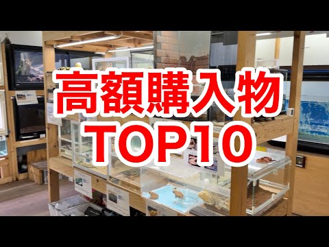 登録者100万人の生き物系YouTuberの人生で最も高額だった購入物TOP１０をご紹介します