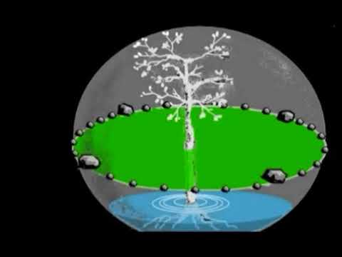 Creation of the Taino Cosmogram